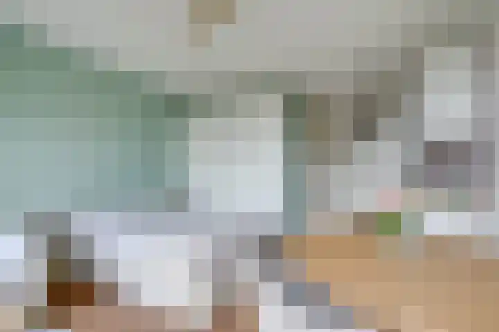 Ina Boudier-Bakkerlaan 40 G Utrecht thumbnail 12