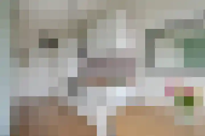 Ina Boudier-Bakkerlaan 40 G Utrecht thumbnail 15
