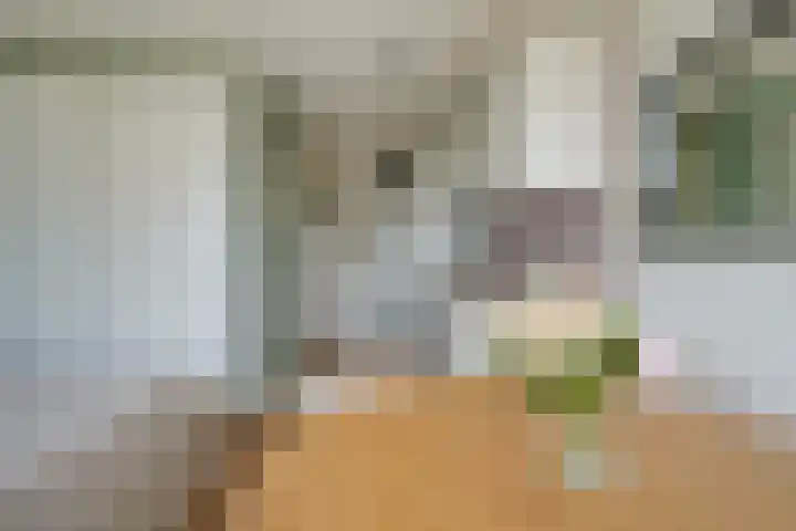 Ina Boudier-Bakkerlaan 40 G Utrecht thumbnail 18