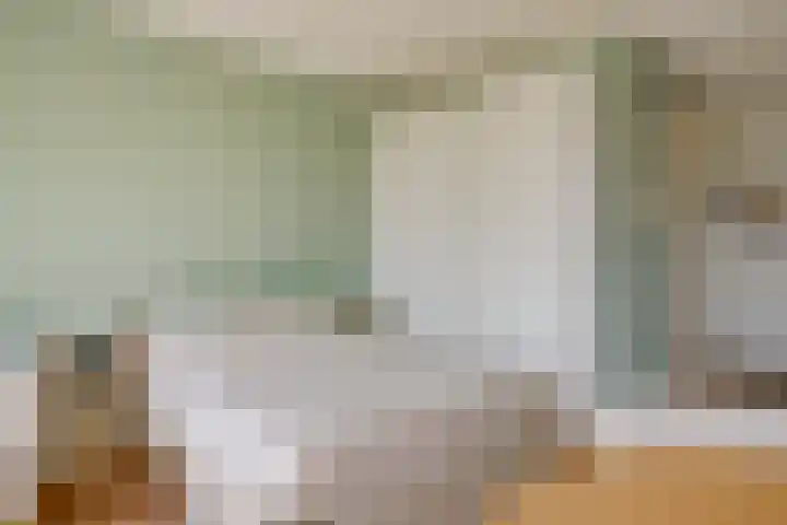 Ina Boudier-Bakkerlaan 40 G Utrecht thumbnail 19