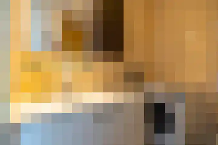 Ina Boudier-Bakkerlaan 40 G Utrecht thumbnail 25