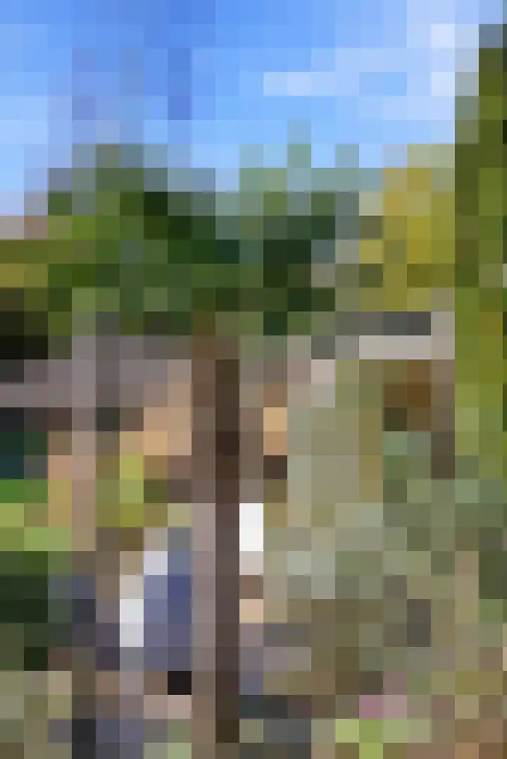 Ina Boudier-Bakkerlaan 51 Zutphen thumbnail 52