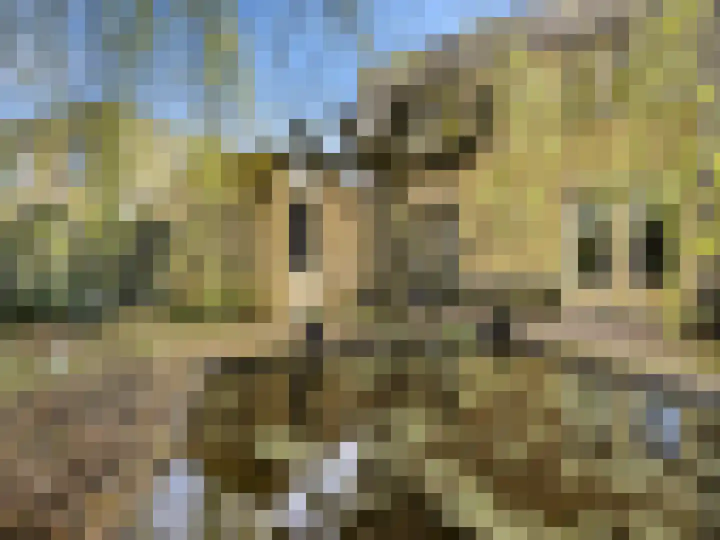 Ina Boudier-Bakkerlaan 6 Zutphen thumbnail 25
