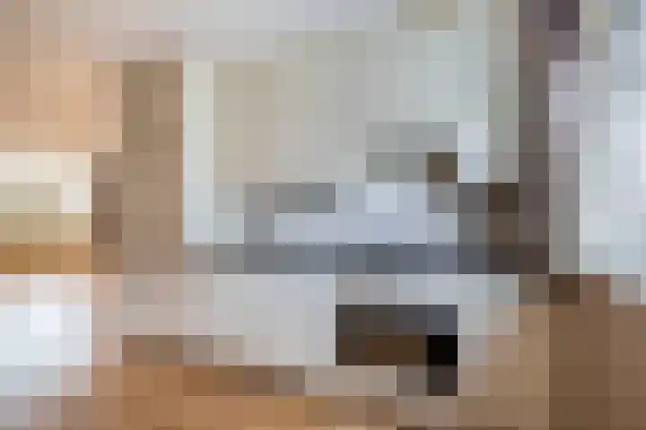 Ina Boudier-Bakkerstraat 1 Lisse thumbnail 11