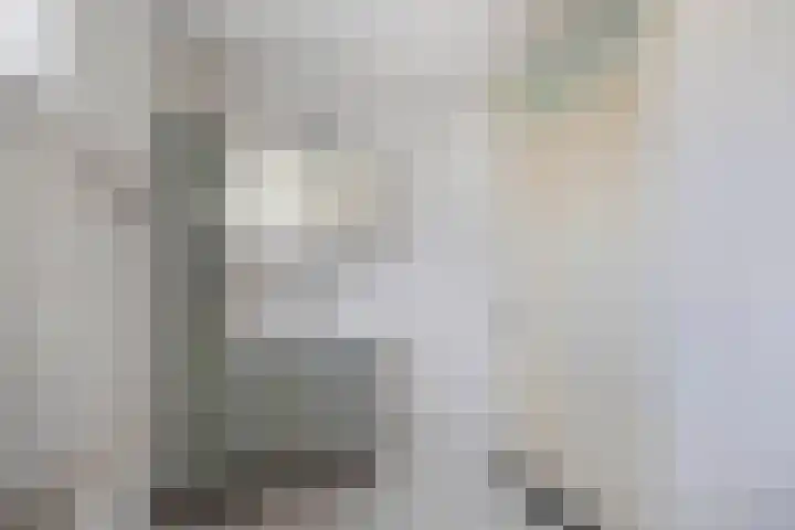 Ina Boudier-Bakkerstraat 1 Lisse thumbnail 25