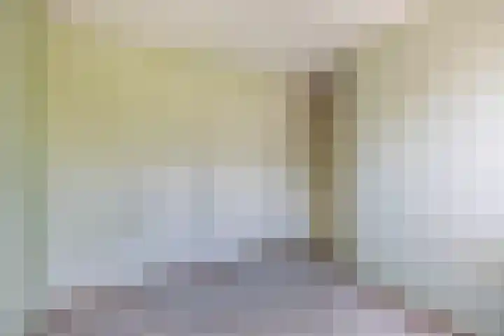 Ina Boudier-Bakkerstraat 1 Lisse thumbnail 28