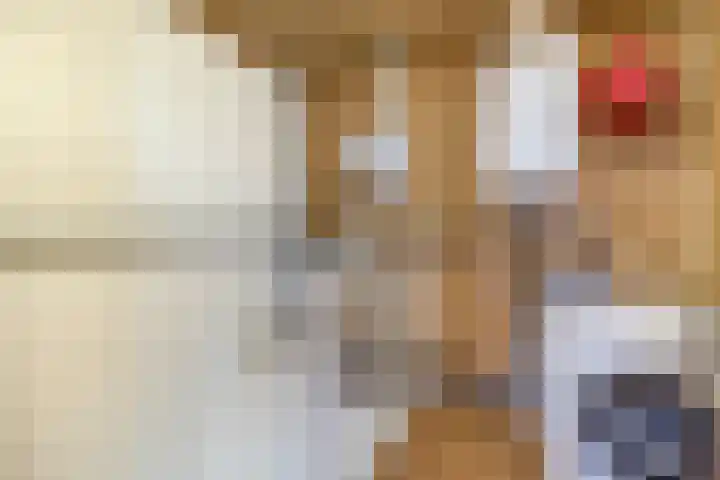 Ina Boudier-Bakkerstraat 1 Lisse thumbnail 30