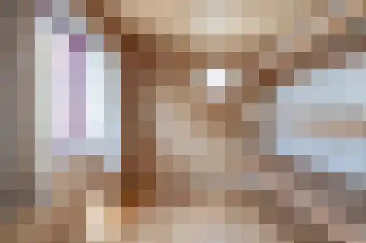 Ina Boudier-Bakkerstraat 1 Lisse thumbnail 31