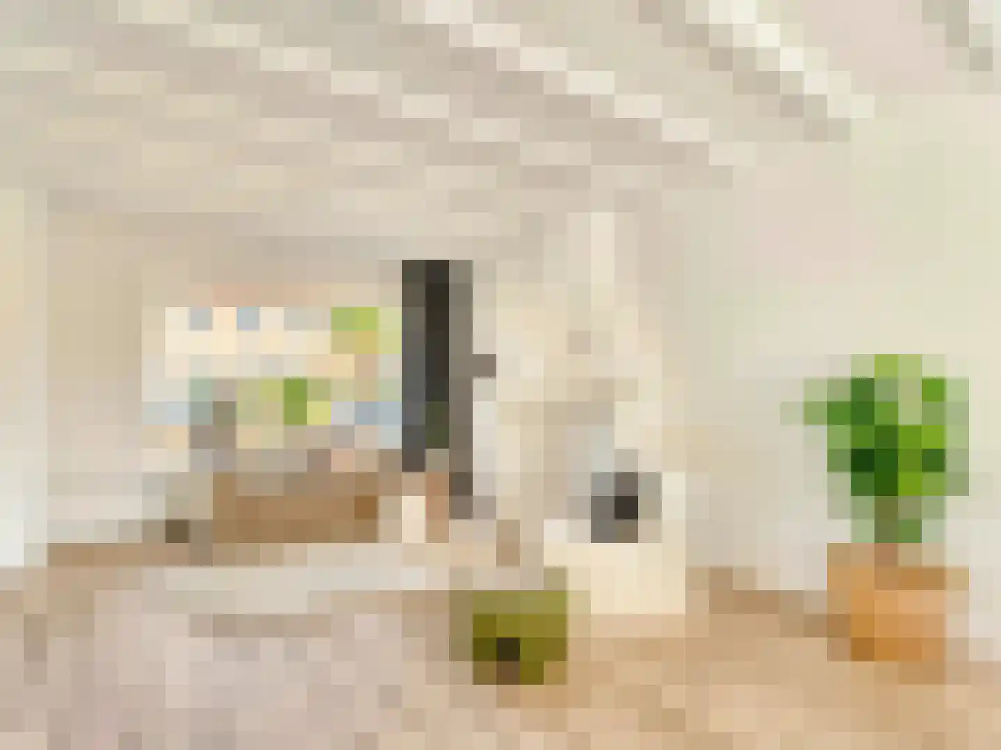 Ina Boudier-Bakkerstraat 12 Vianen thumbnail 10