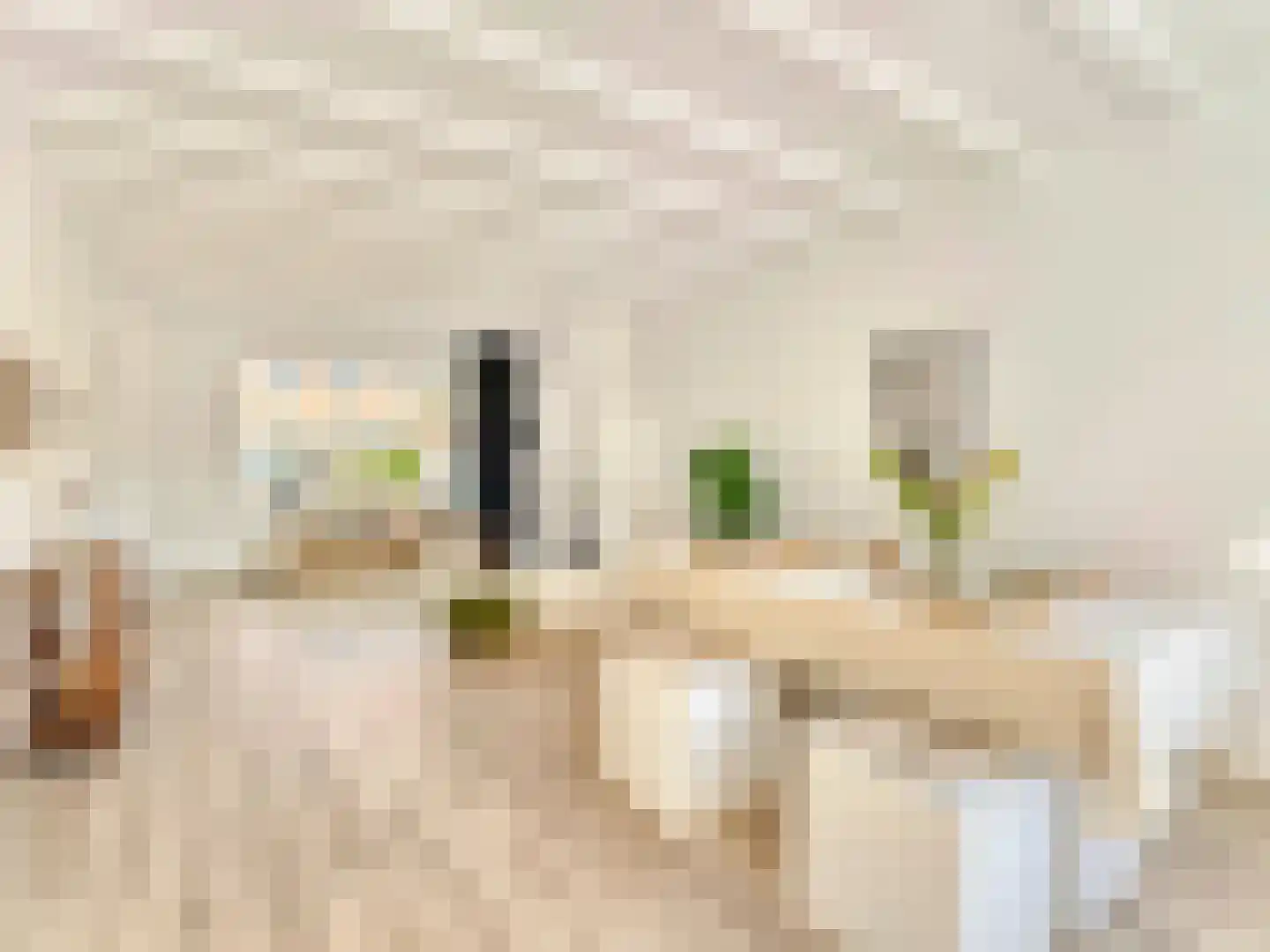 Ina Boudier-Bakkerstraat 12 Vianen thumbnail 12