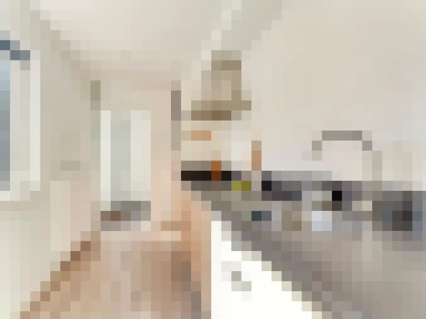 Ina Boudier-Bakkerstraat 12 Vianen thumbnail 15