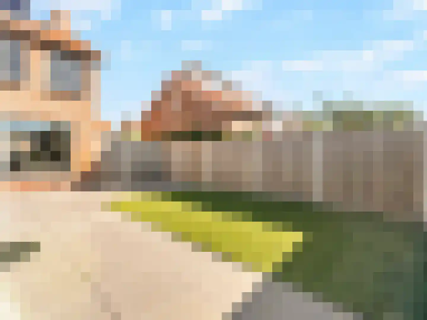 Ina Boudier-Bakkerstraat 12 Vianen thumbnail 19