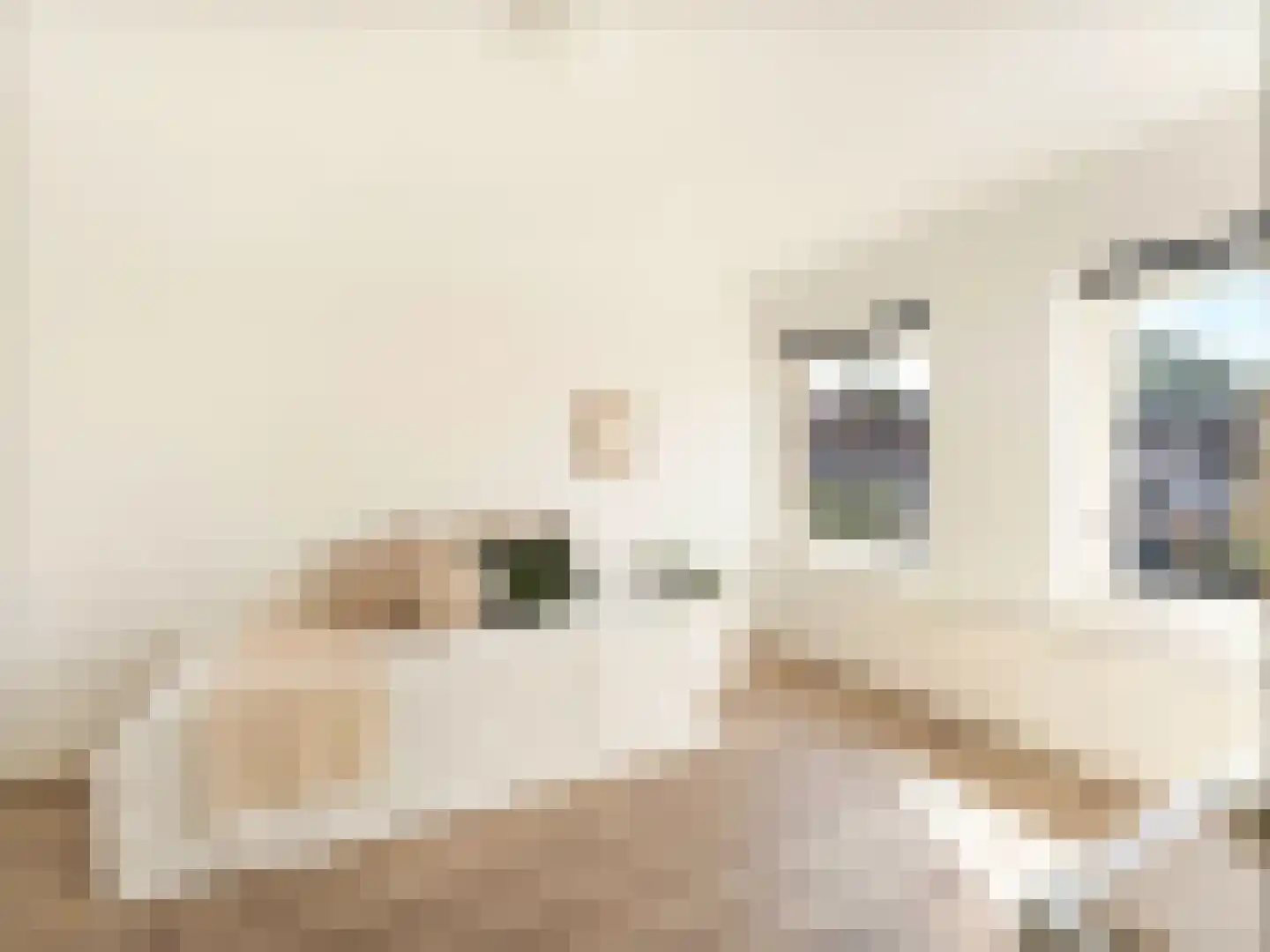 Ina Boudier-Bakkerstraat 12 Vianen thumbnail 25