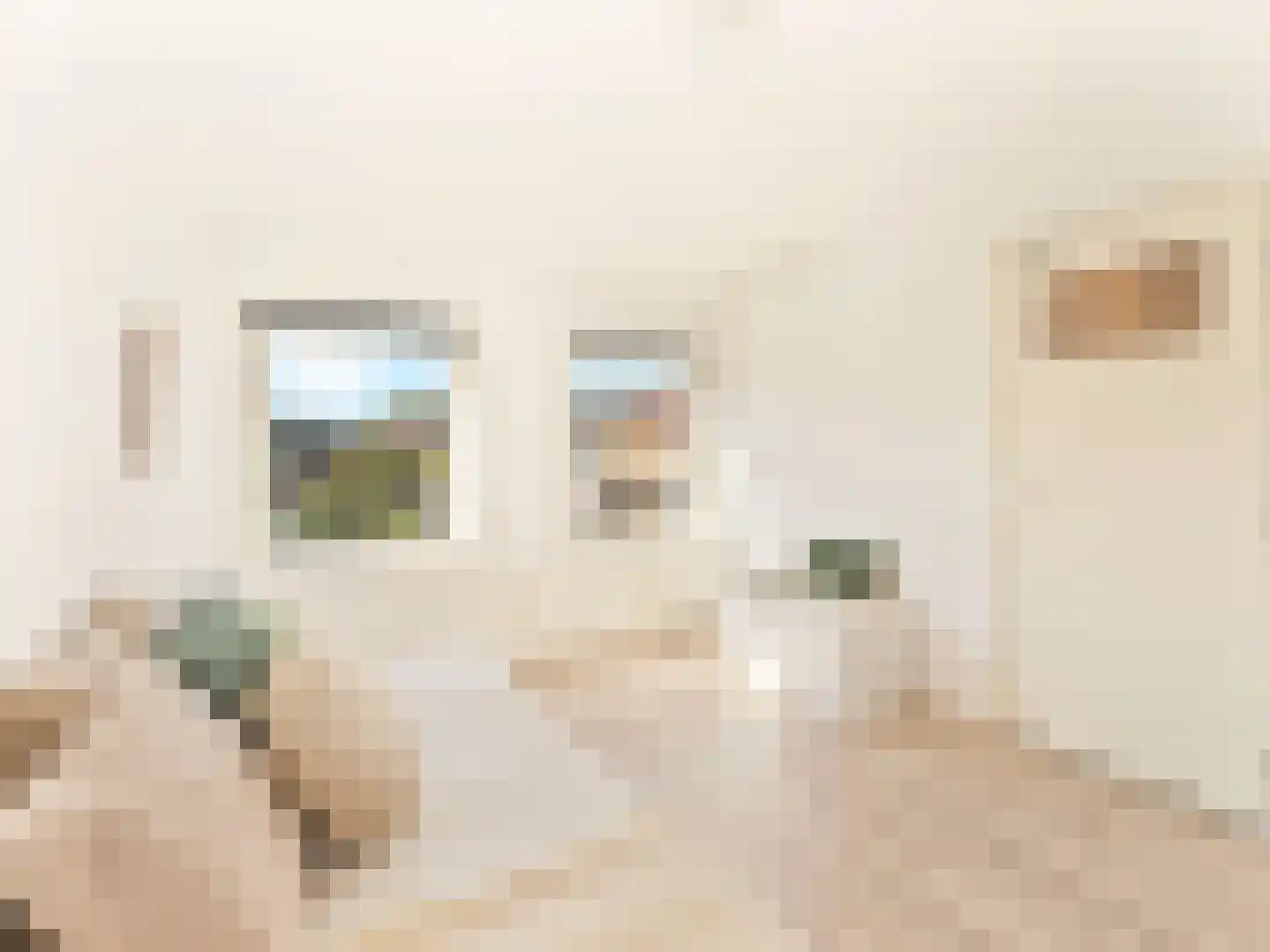 Ina Boudier-Bakkerstraat 12 Vianen thumbnail 26