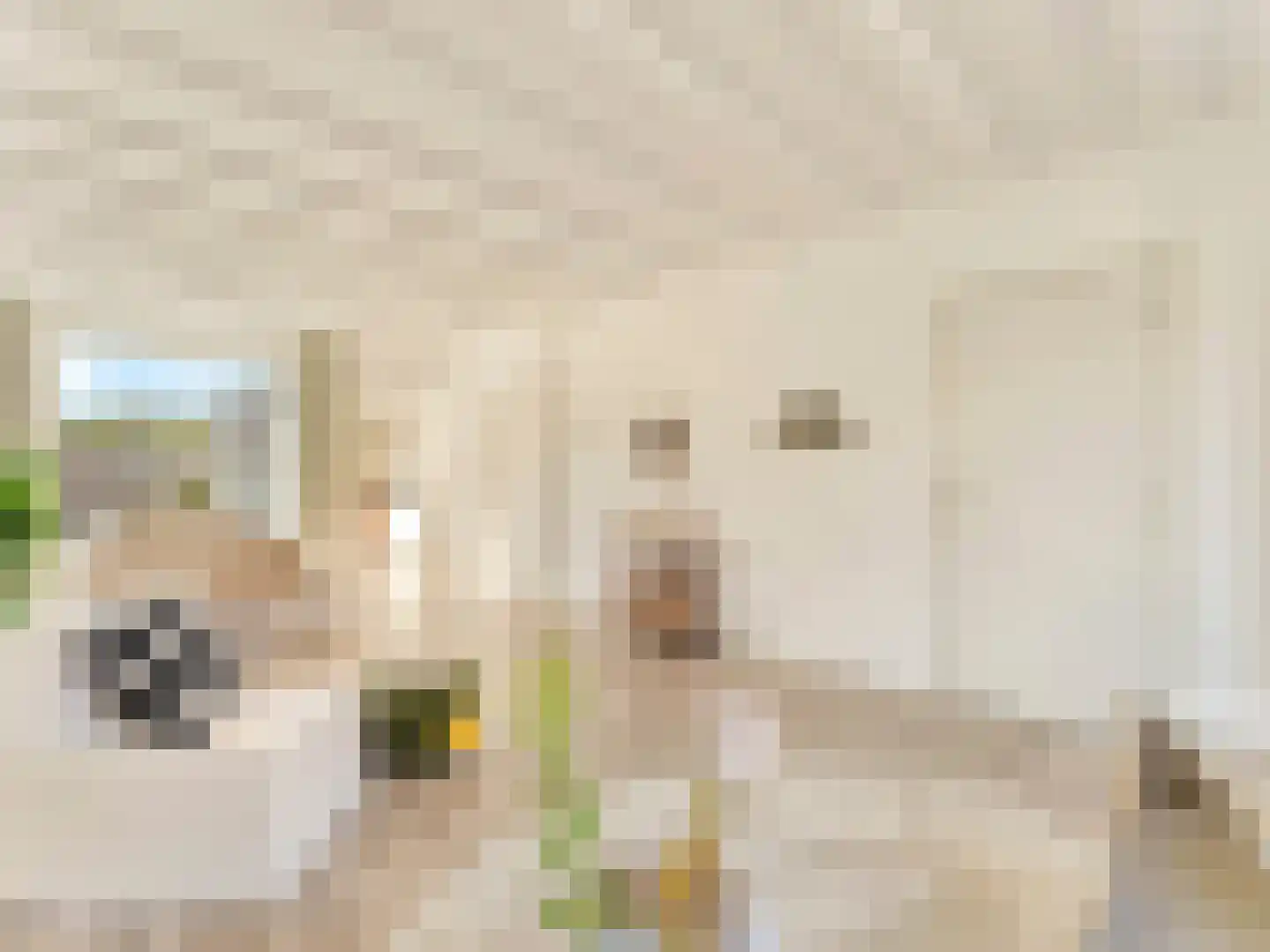 Ina Boudier-Bakkerstraat 12 Vianen thumbnail 9