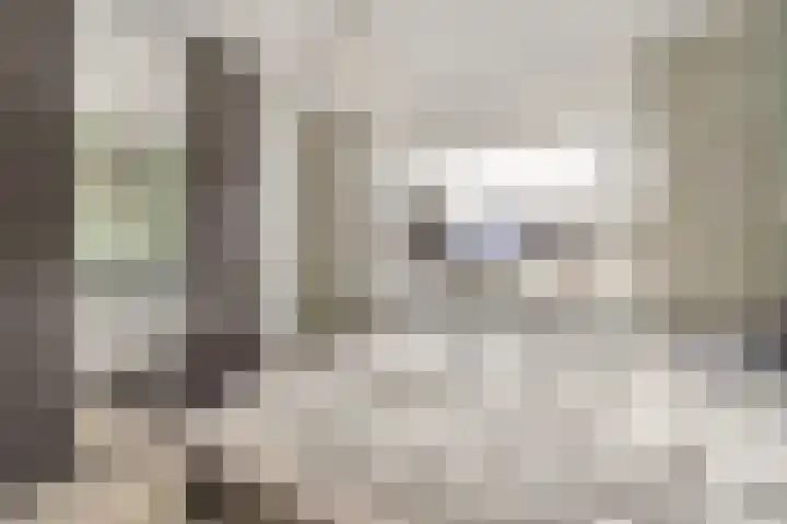 Ina Boudier-Bakkerstraat 36 Vianen thumbnail 12