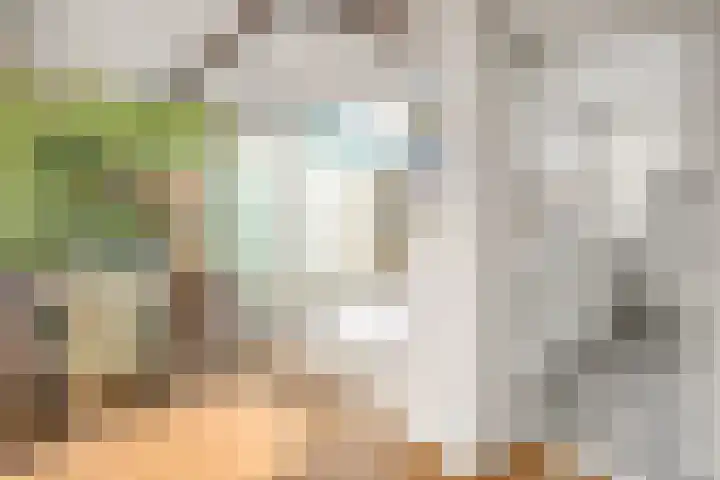 Ina Boudier-Bakkerstraat 36 Vianen thumbnail 6