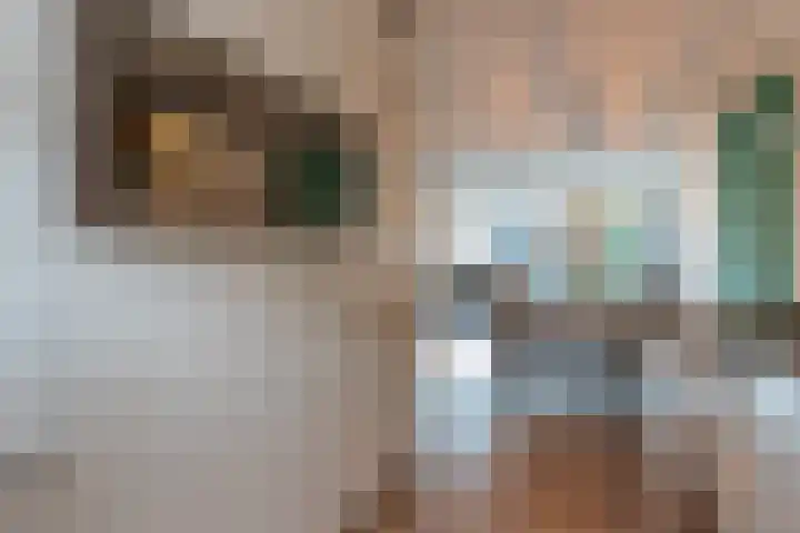 Ina Boudier-Bakkerstraat 7 Lisse thumbnail 25