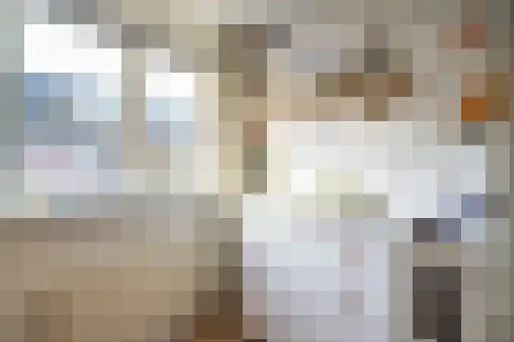 Ina Boudier-Bakkerstraat 7 Lisse thumbnail 33
