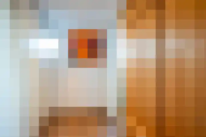 Ina Boudier-Bakkerstraat 7 Lisse thumbnail 34