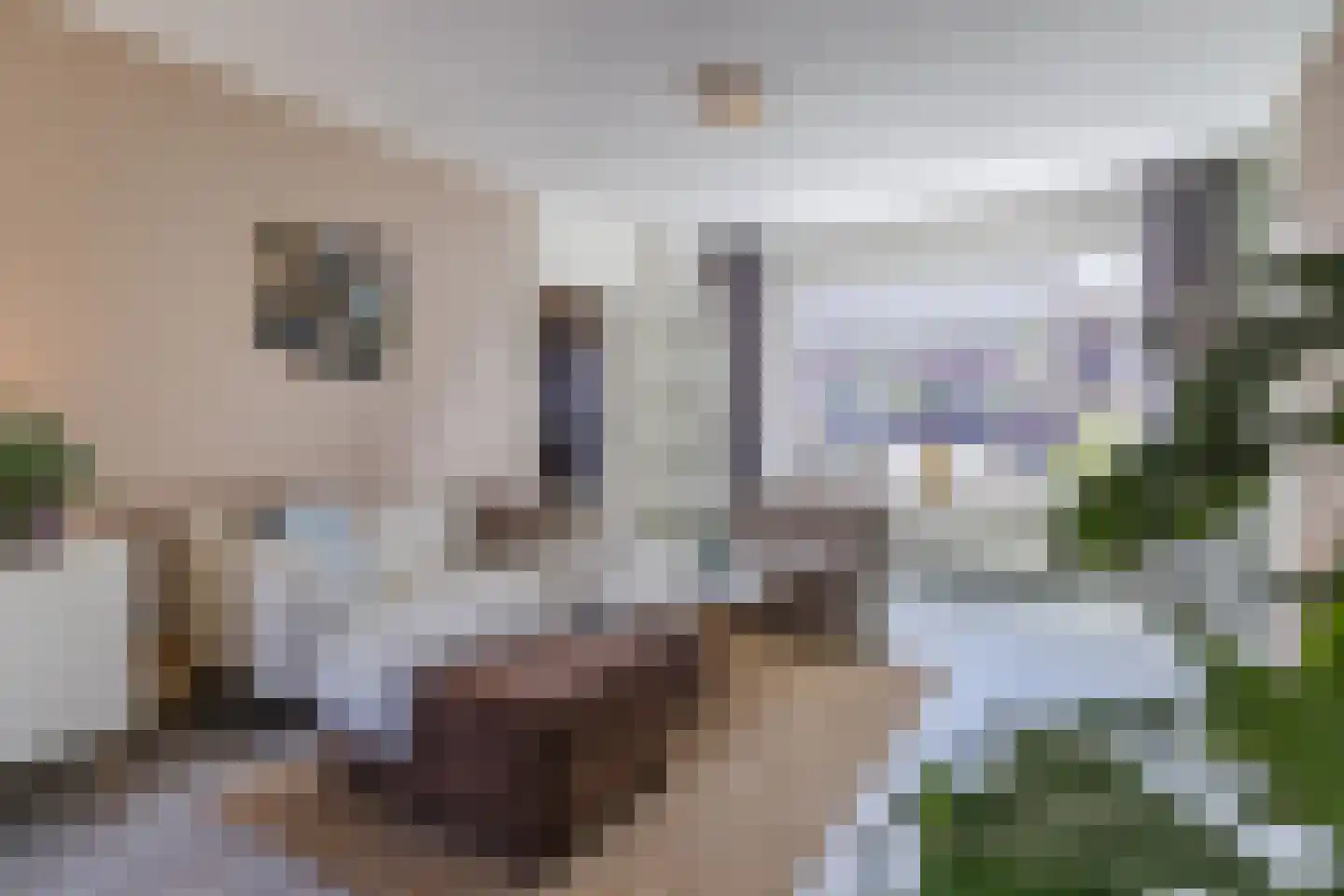 Ina Boudier-Bakkerstraat 9 Vianen thumbnail 10