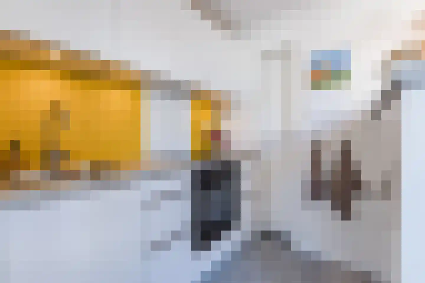 Ina Boudier-Bakkerstraat 9 Vianen thumbnail 14