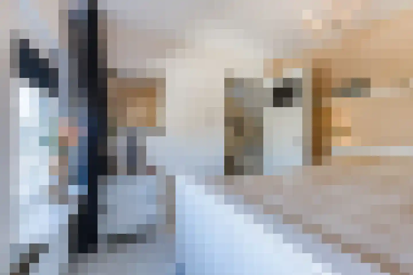 Ina Boudier-Bakkerstraat 9 Vianen thumbnail 20