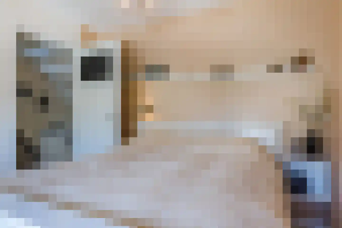 Ina Boudier-Bakkerstraat 9 Vianen thumbnail 21