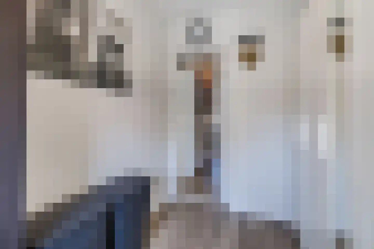 Ina Boudier-Bakkerstraat 9 Vianen thumbnail 25