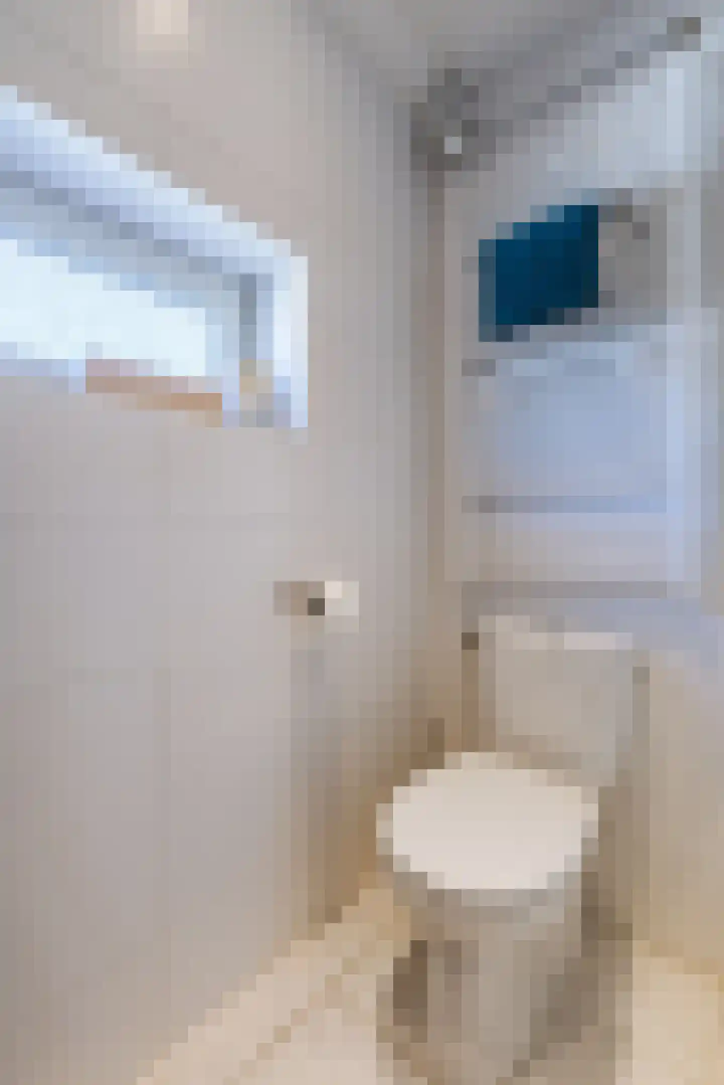 Ina Boudier-Bakkerstraat 9 Vianen thumbnail 28