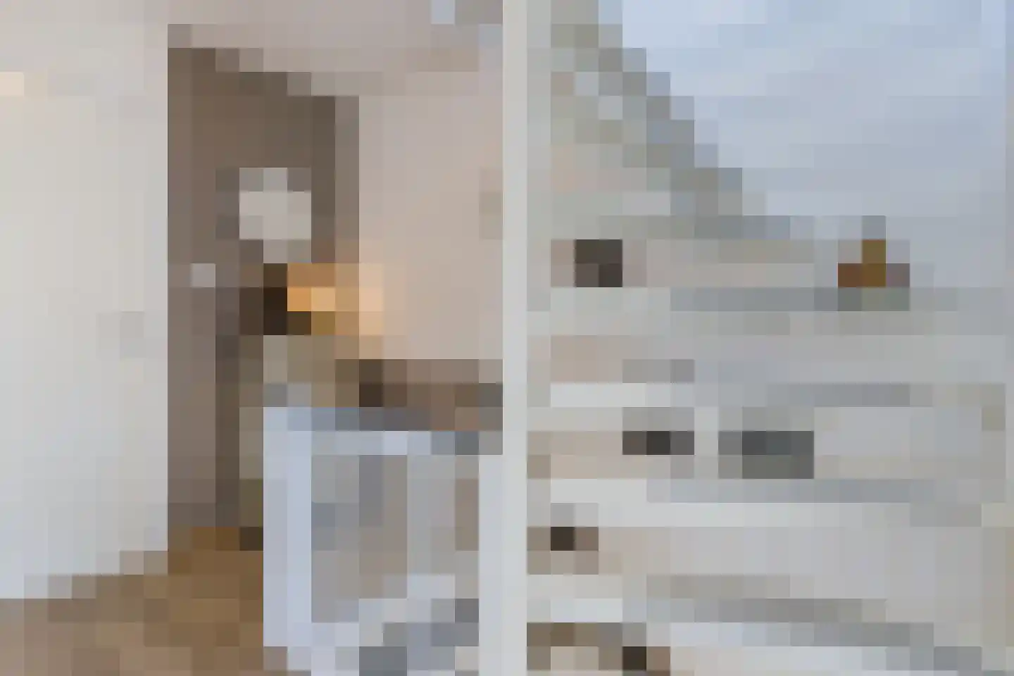 Ina Boudier-Bakkerstraat 9 Vianen thumbnail 29