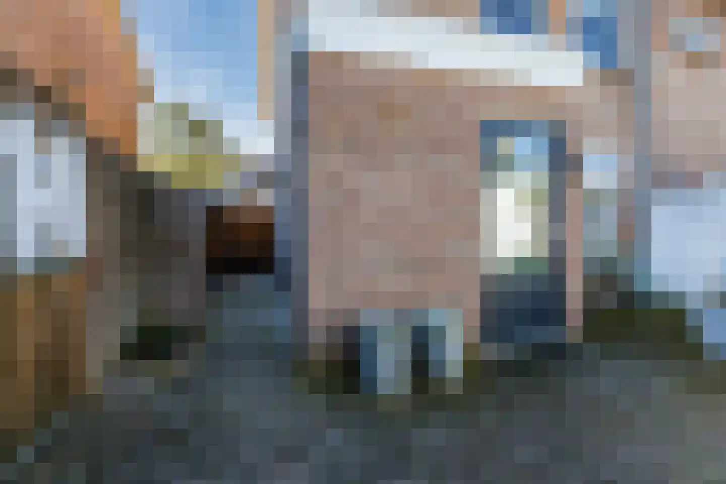 Ina Boudier-Bakkerstraat 9 Vianen thumbnail 39