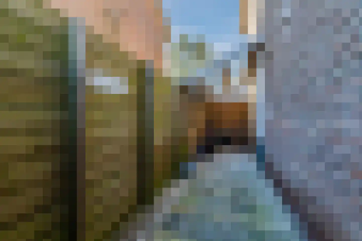 Ina Boudier-Bakkerstraat 9 Vianen thumbnail 40