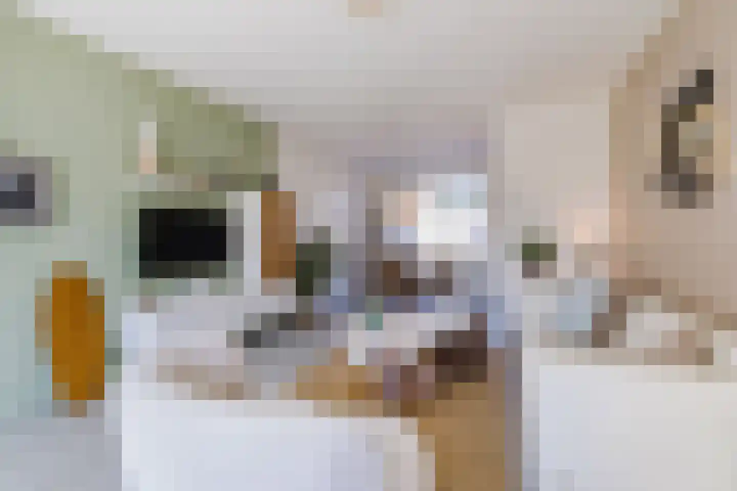 Ina Boudier-Bakkerstraat 9 Vianen thumbnail 6