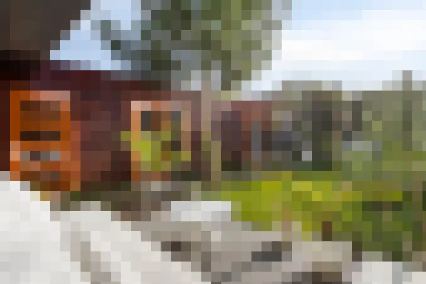 Ina Boudierstraat 16 Alkmaar thumbnail 5