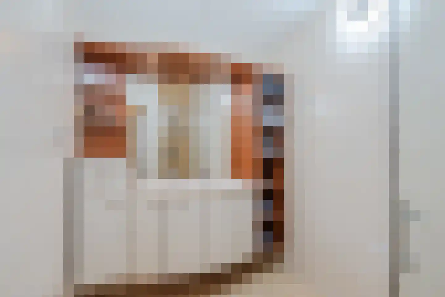 Ina Boudierstraat 30 Alkmaar thumbnail 32