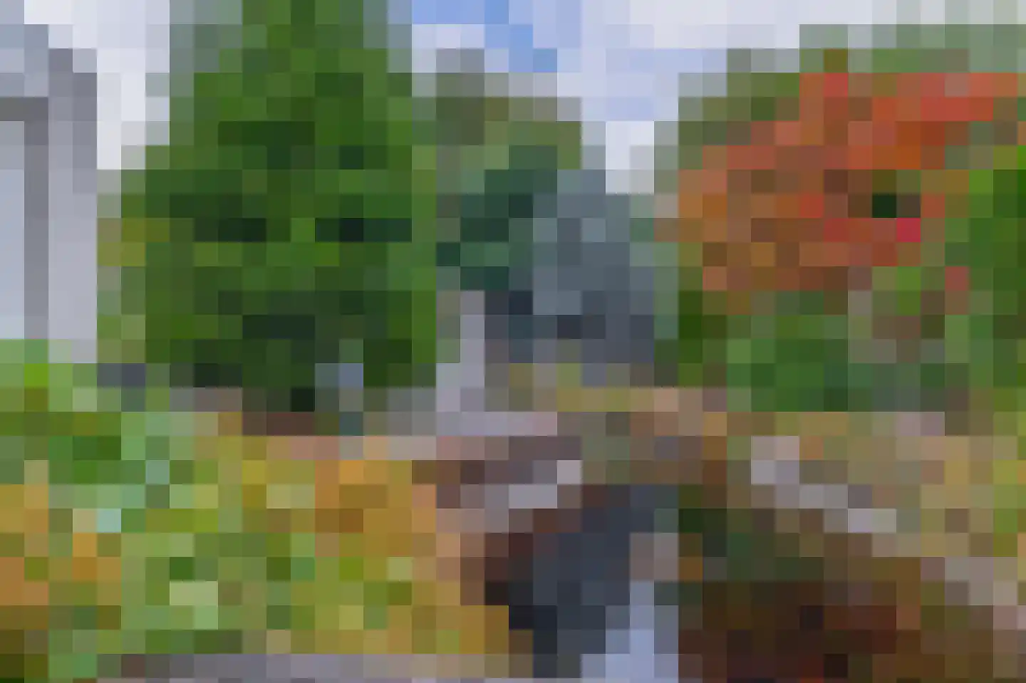 Ina Boudierstraat 9 Schijndel thumbnail 4