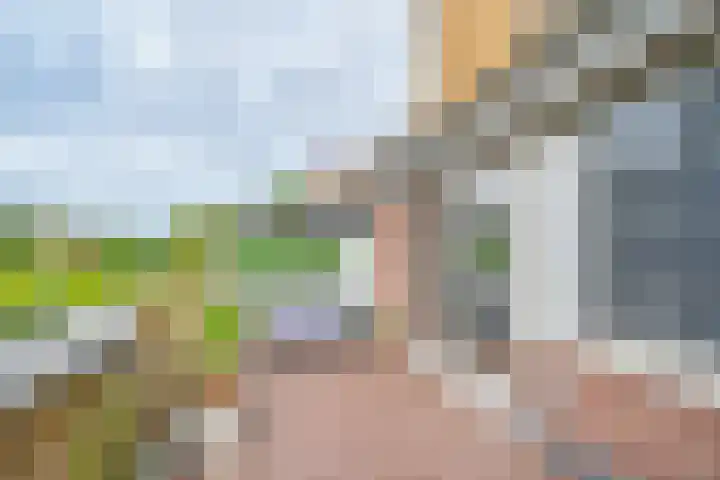 Ina Damman erf 21 Capelle aan den IJssel thumbnail 10
