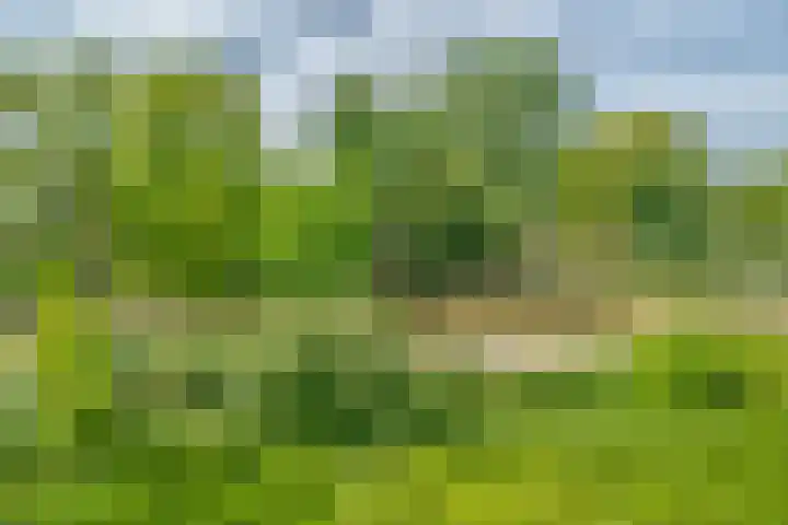 Ina Damman erf 21 Capelle aan den IJssel thumbnail 11