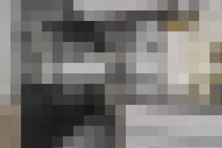 Ina Damman erf 21 Capelle aan den IJssel thumbnail 12