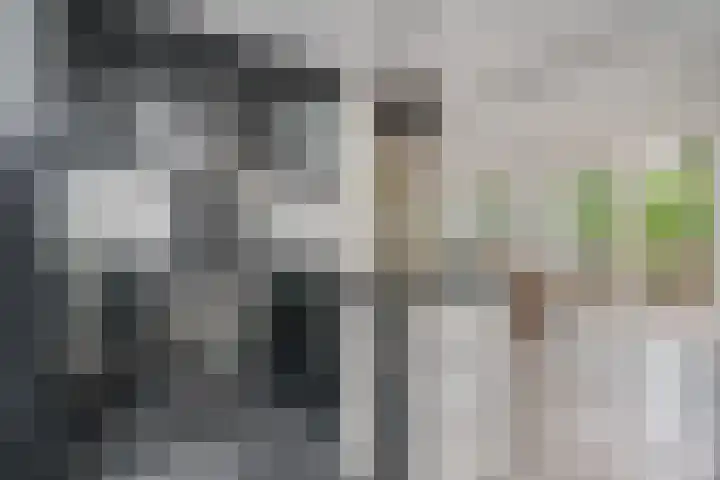 Ina Damman erf 21 Capelle aan den IJssel thumbnail 13