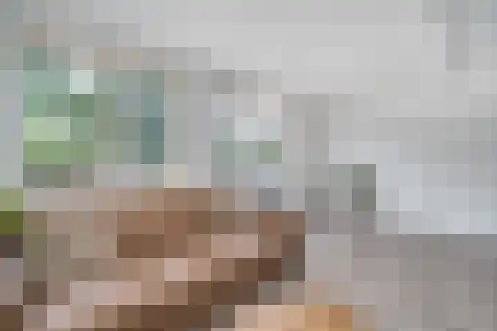 Ina Damman erf 21 Capelle aan den IJssel thumbnail 5