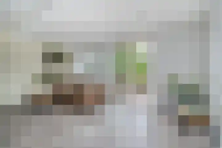Ina Damman erf 21 Capelle aan den IJssel thumbnail 6