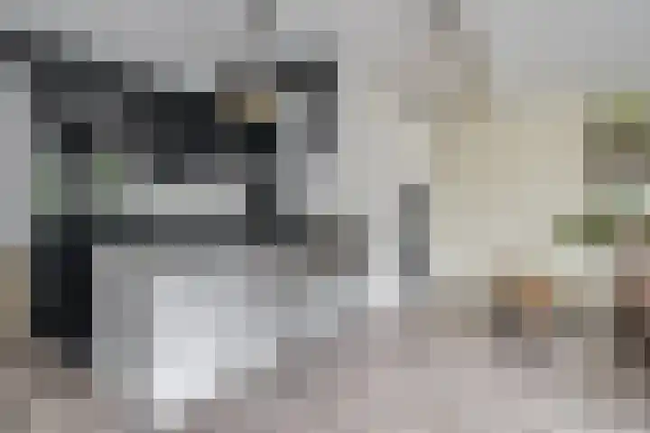 Ina Damman erf 21 Capelle aan den IJssel thumbnail 7