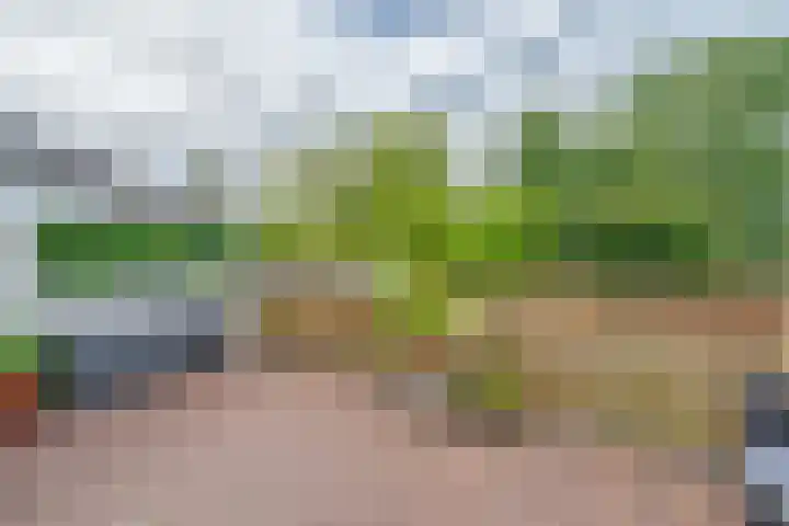 Ina Damman erf 21 Capelle aan den IJssel thumbnail 9