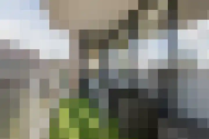 Ina Dammanstraat 13 Oosterhout thumbnail 27