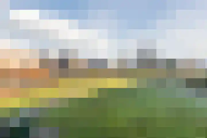 Ina Dammanstraat 13 Oosterhout thumbnail 33