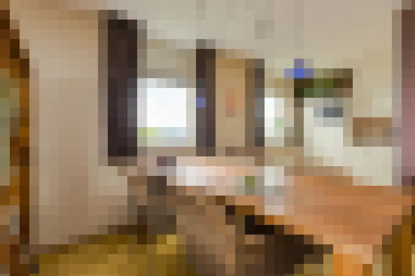 Ina Dammanstraat 17 Oosterhout thumbnail 17