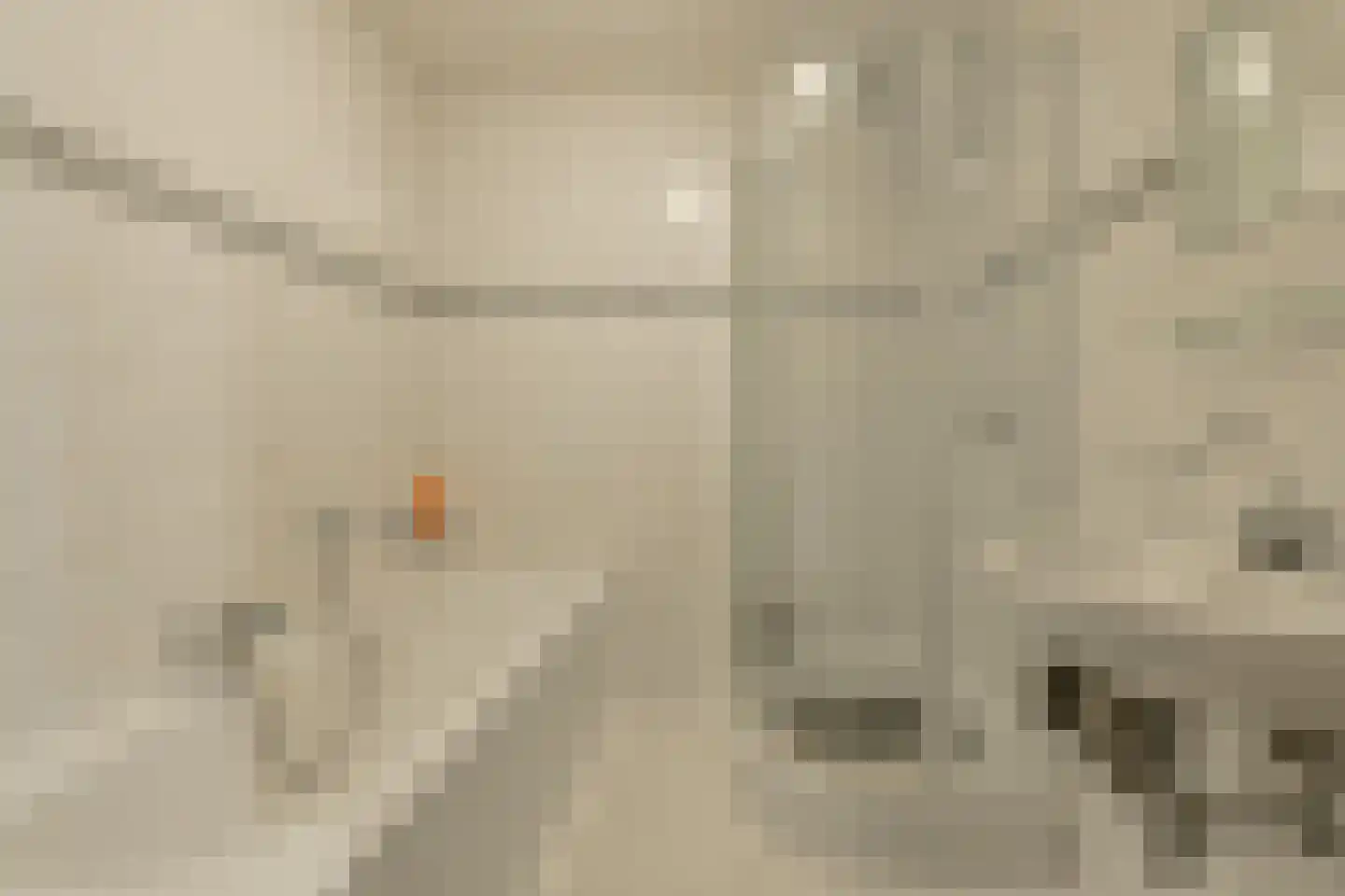 Ina Dammanstraat 17 Oosterhout thumbnail 29