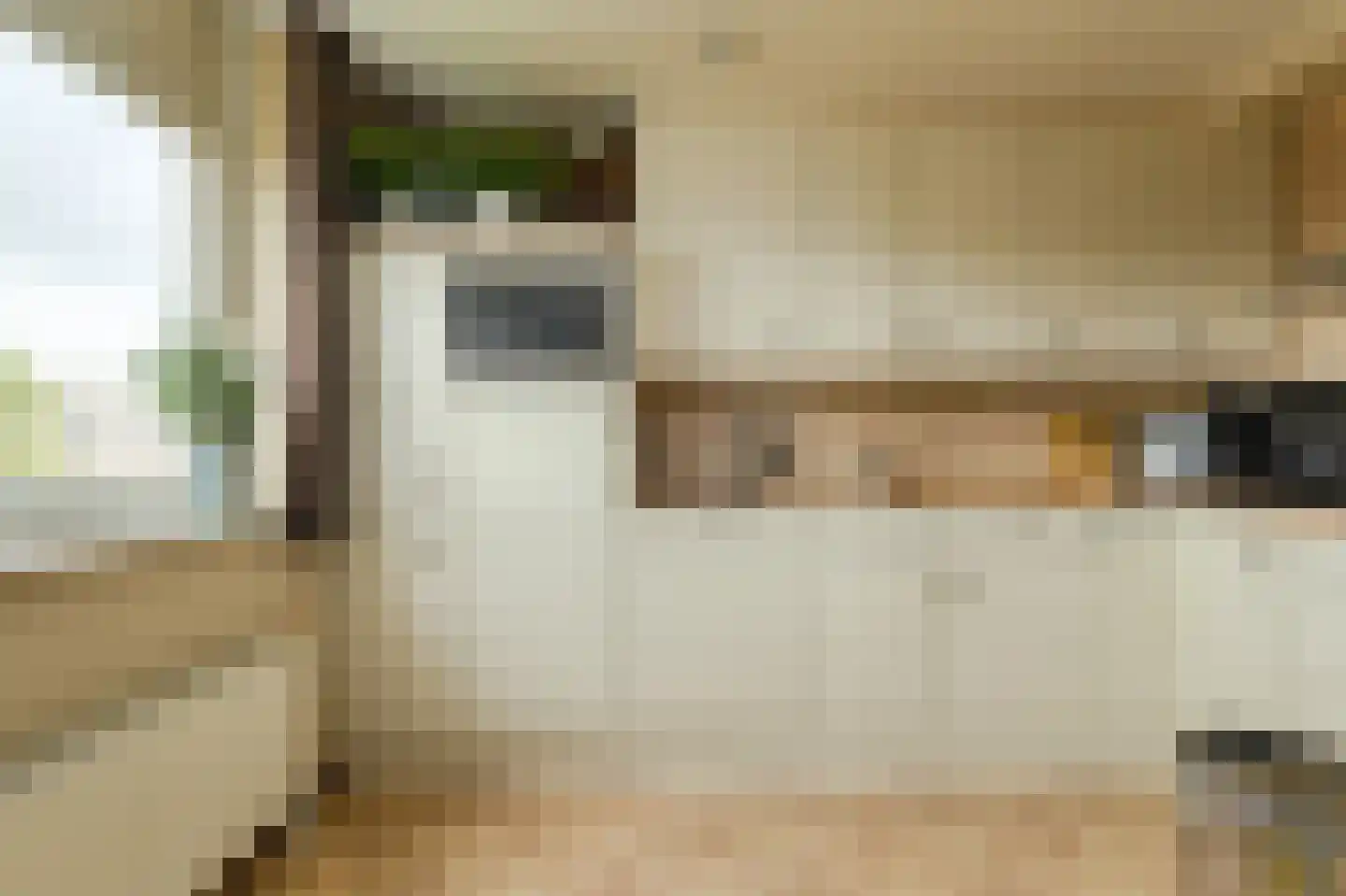 Ina Dammanstraat 17 Oosterhout thumbnail 4
